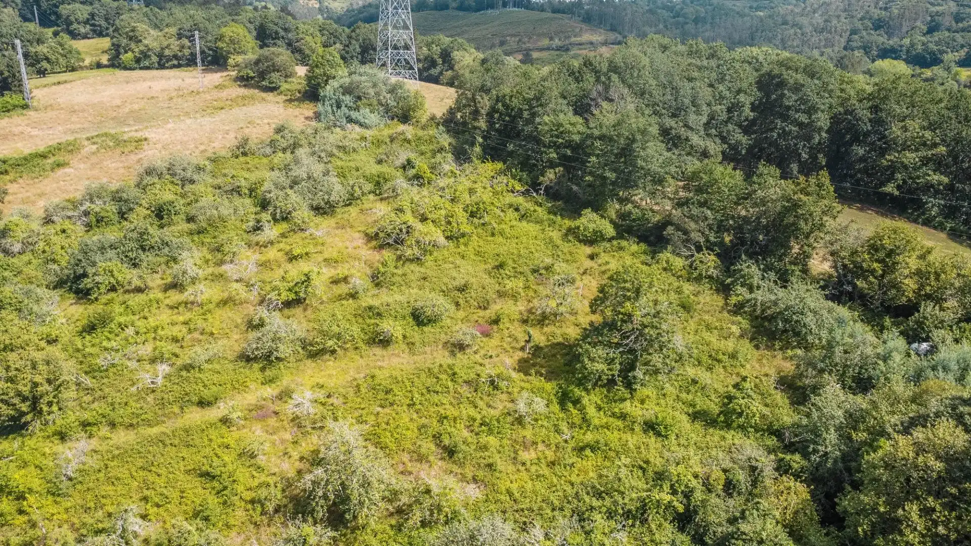 Rural land for sale in del pareo, imagen 14