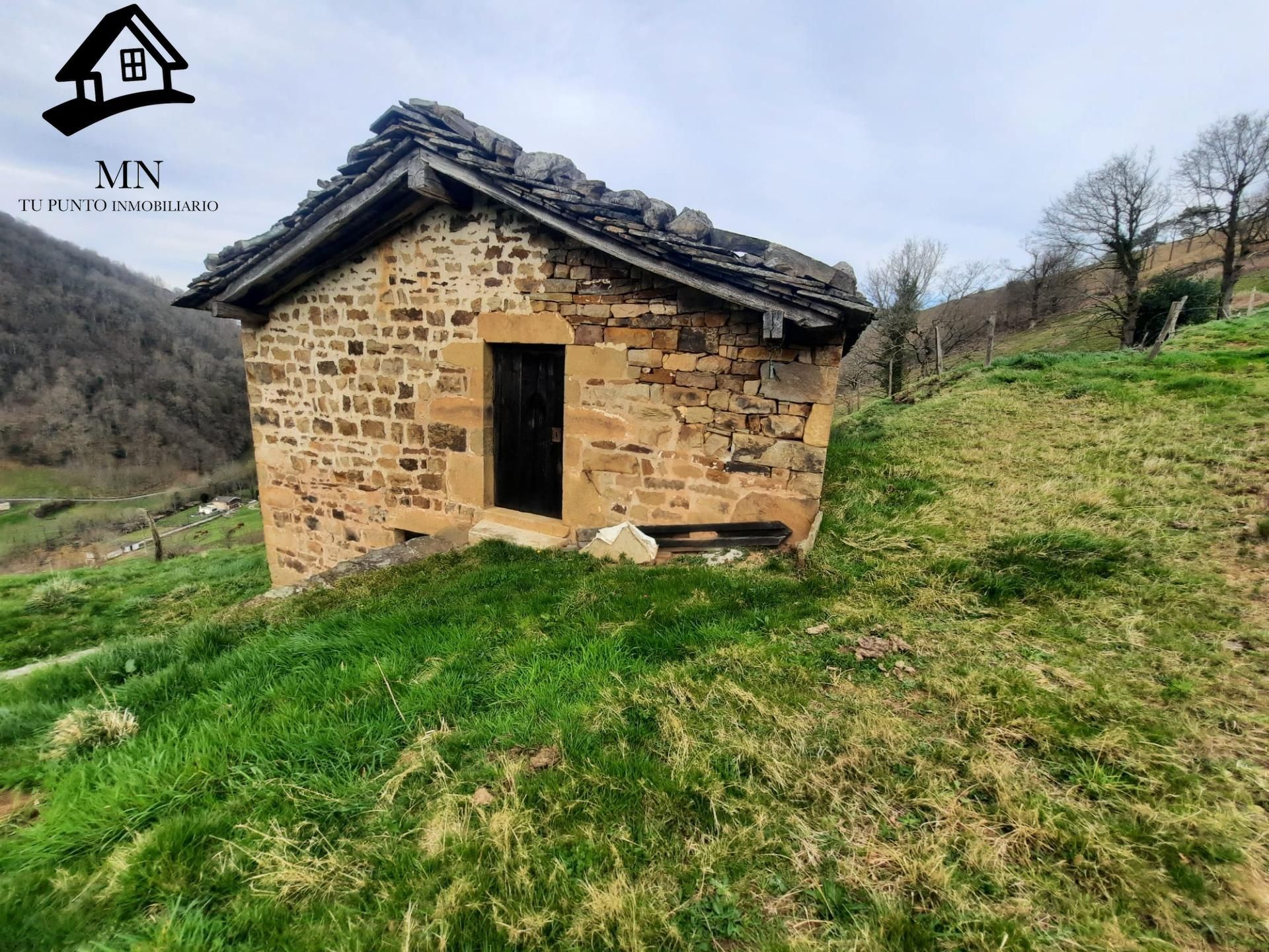 Vista exterior de Finca rústica en venta en Vega de Pas