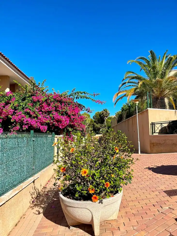 Bungalow in vendita a Santa Pola ciudad, imagen 15