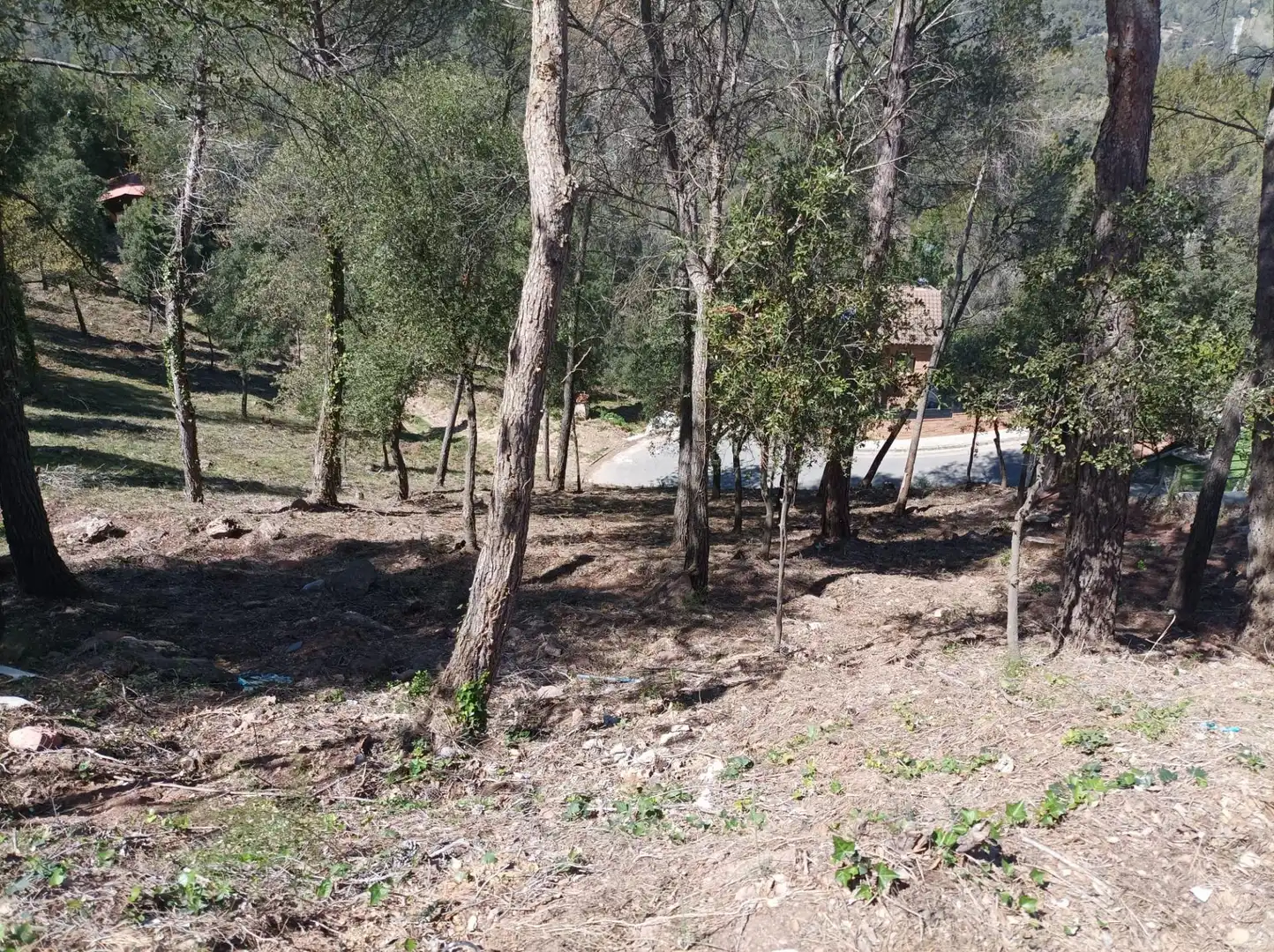 Wohnbaugrundstück zum Verkauf in El Racó - Sant Feliu del Racó, imagen 7