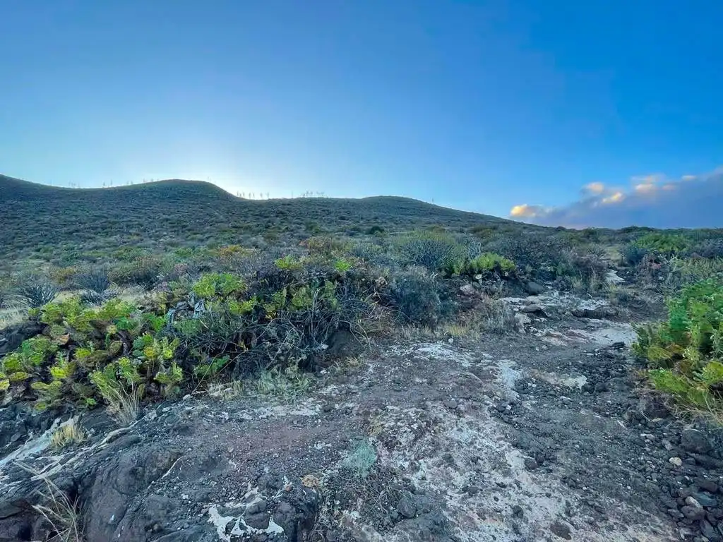 Rural land for sale in Tabuco, imagen 23