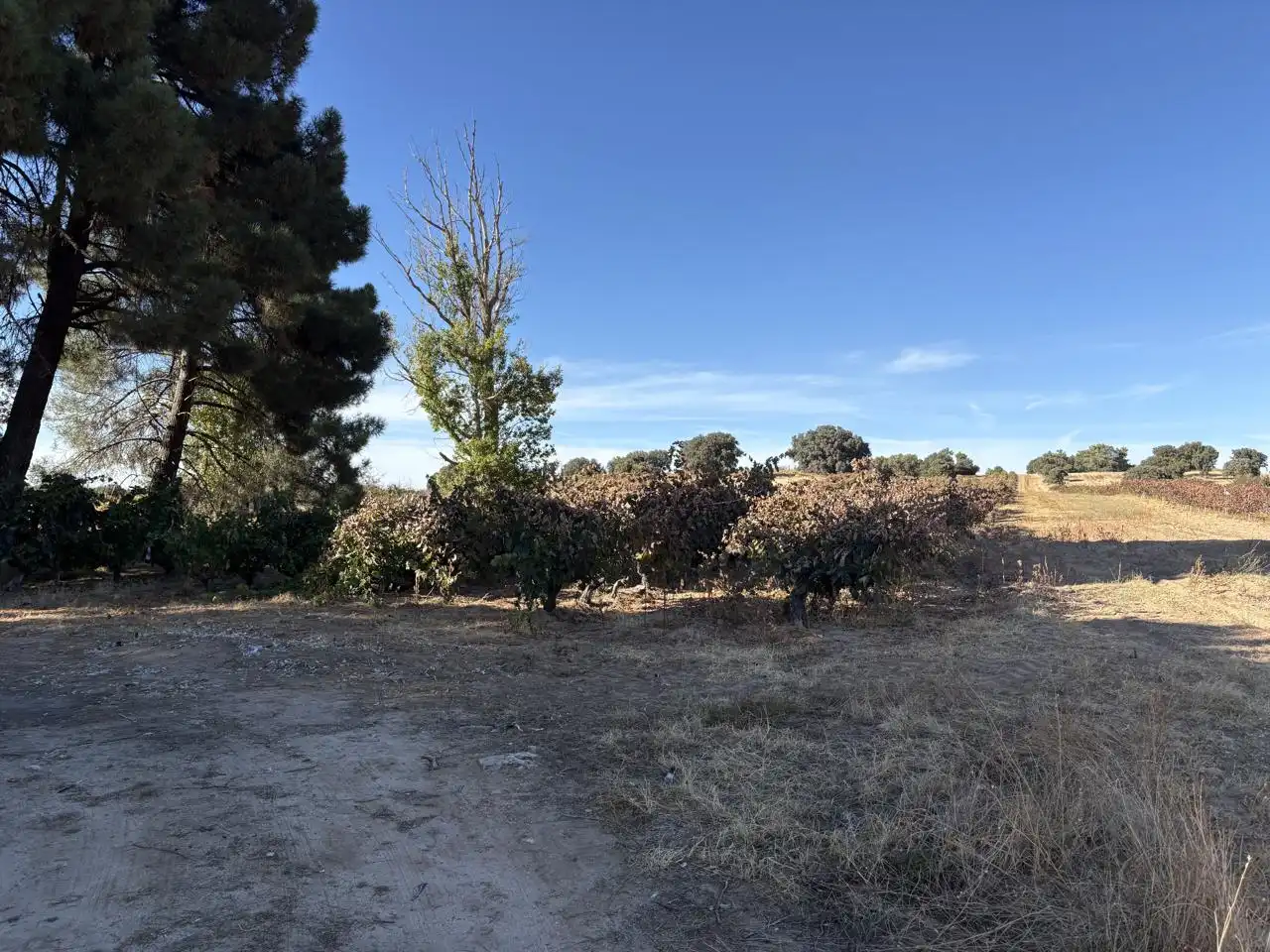 Residential for sale in Aranda de Duero