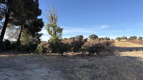 Photo 5 of Residential for sale in Zona Rural, Burgos