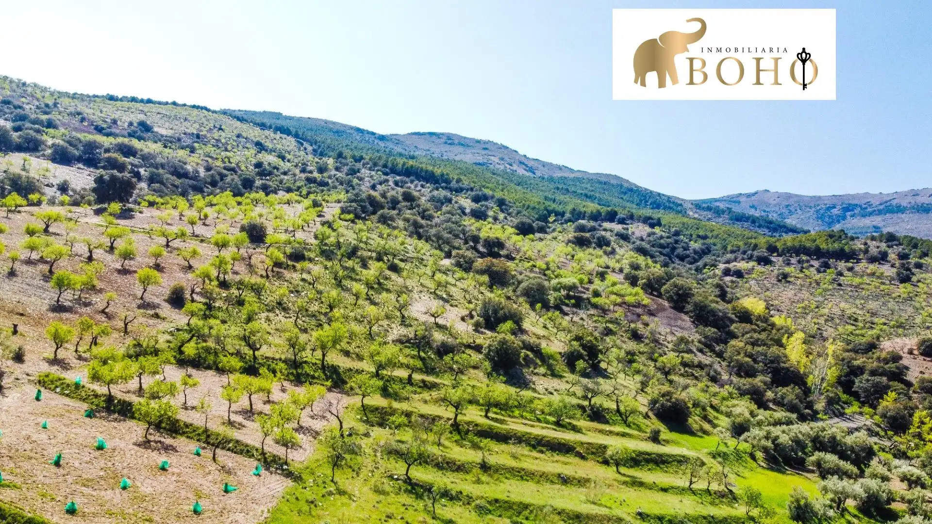 Terrain rustique à vendre à Abrucena, imagen 5