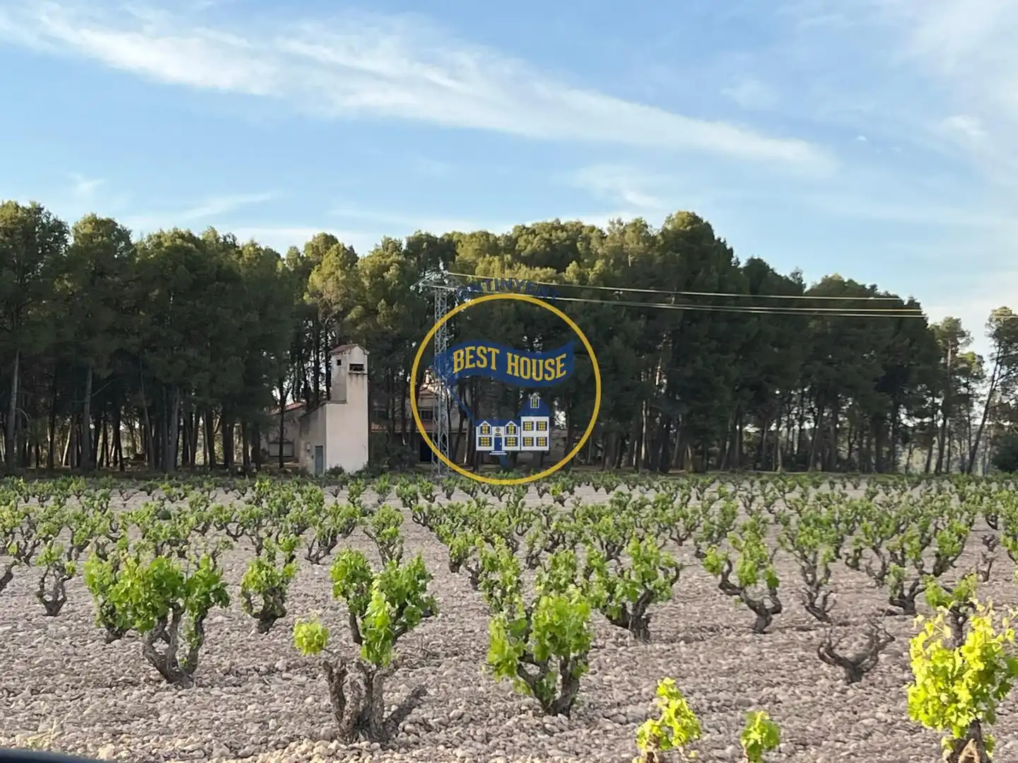 Casa o xalet en venda en Fontanars dels Alforins amb Jardí privat, Piscina i Moblat