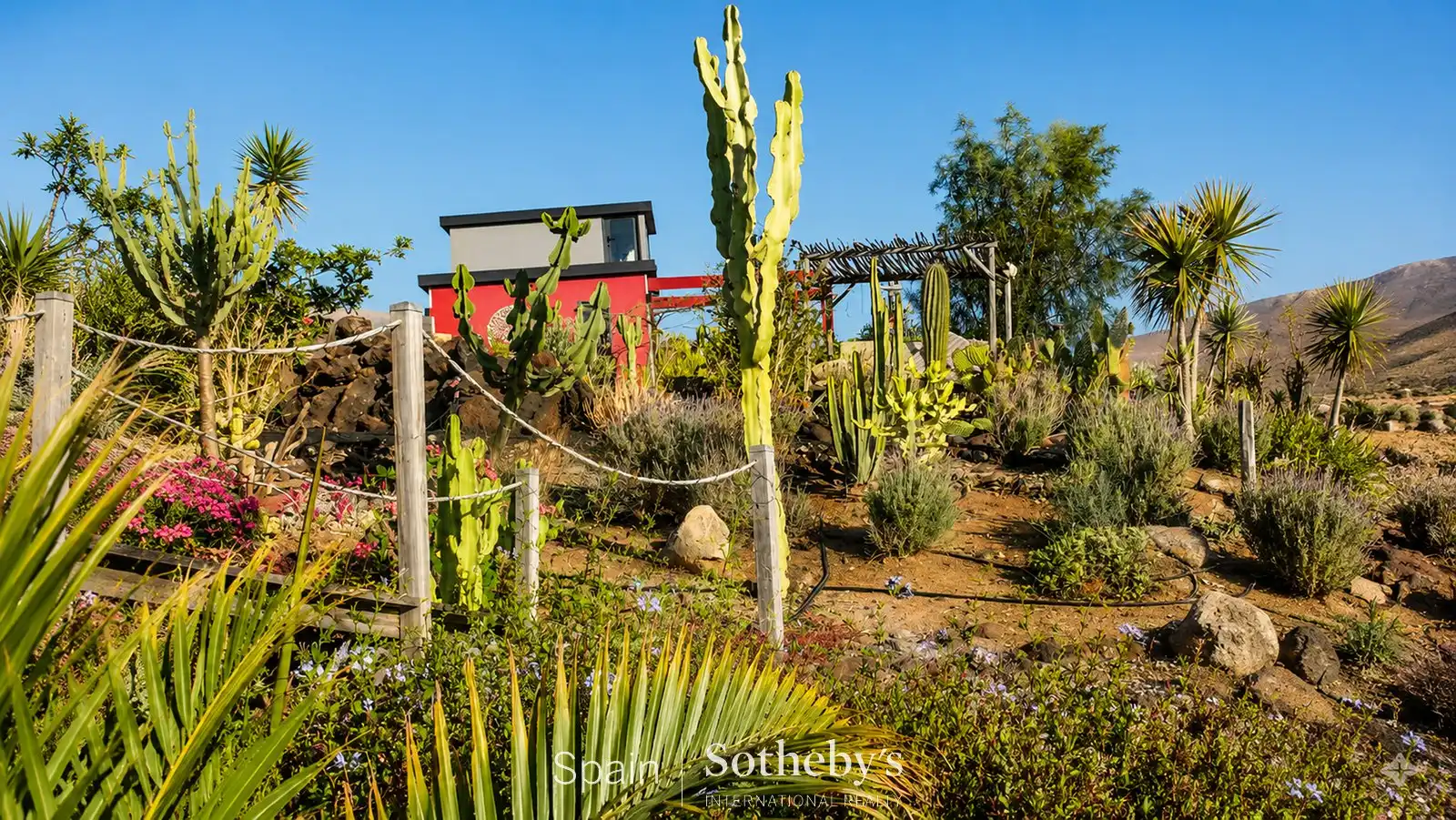 Garden of Houses for sale in Tuineje  with Air Conditioner, Heating and Private garden
