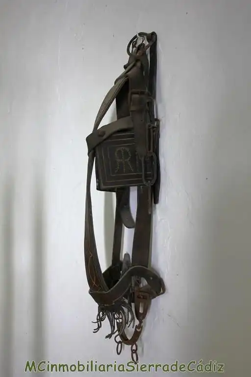 Casa rústica en venda a Algodonales, imagen 35