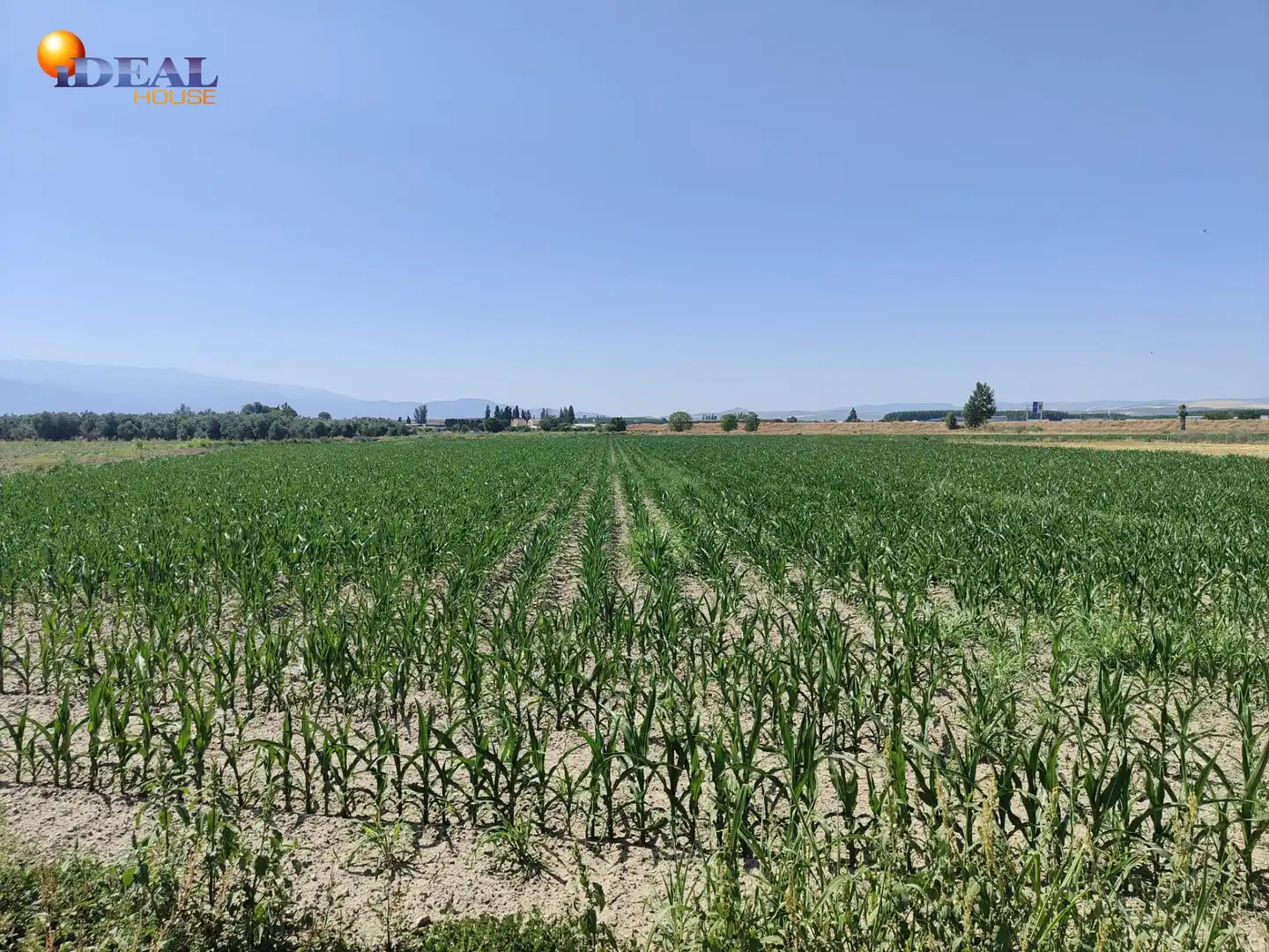 Terreni e lotti in vendita a Carretera Carretera de Pinos Puente, imagen 6
