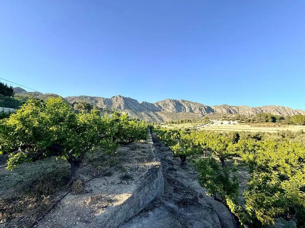 Finca rústica en venda en Sanet y Negrals amb Calefacció i Jardí privat