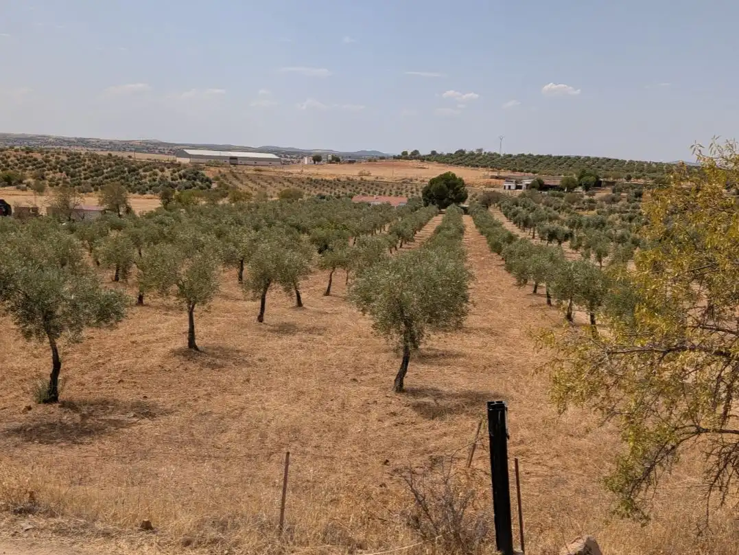 Terreno en venta en Castuera