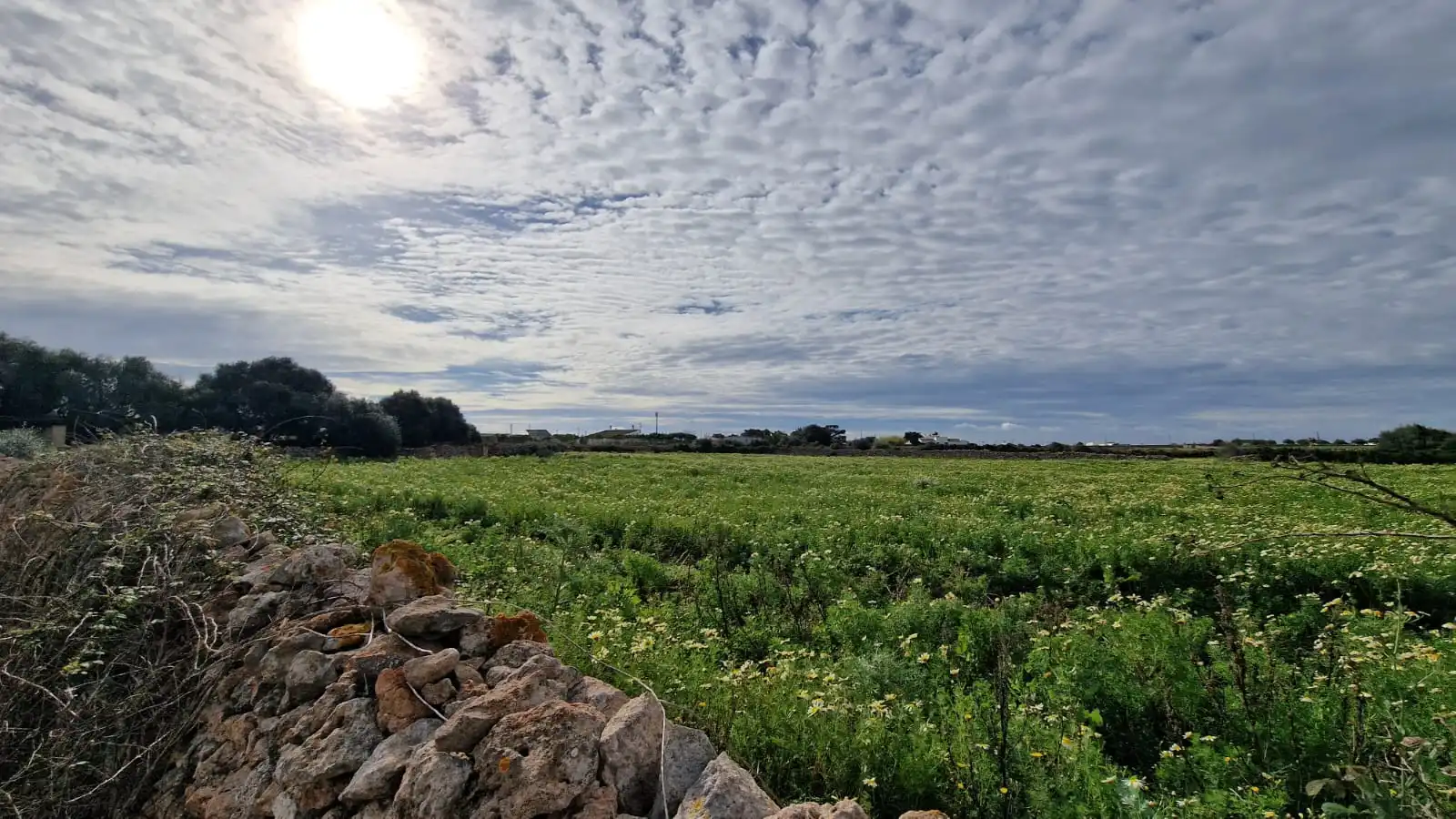 Rural land for sale in Ciutadella
