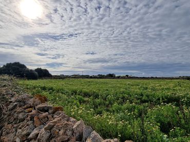 Terreno rustico in vendita a Ciutadella