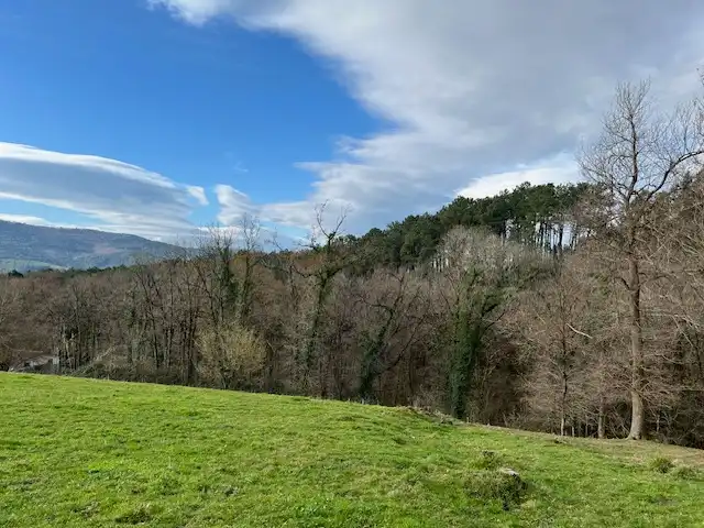 Land for sale in Lezama