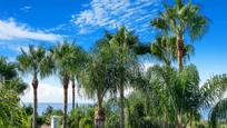 Vista exterior de Casa o xalet en venda en Marbella amb Aire condicionat, Terrassa i Piscina