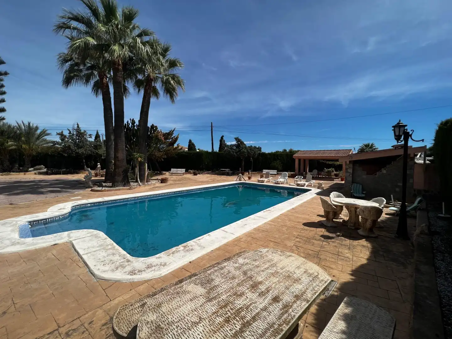 Piscina de Casa o chalet en venta en Elche / Elx con Jardín privado, Terraza y Trastero