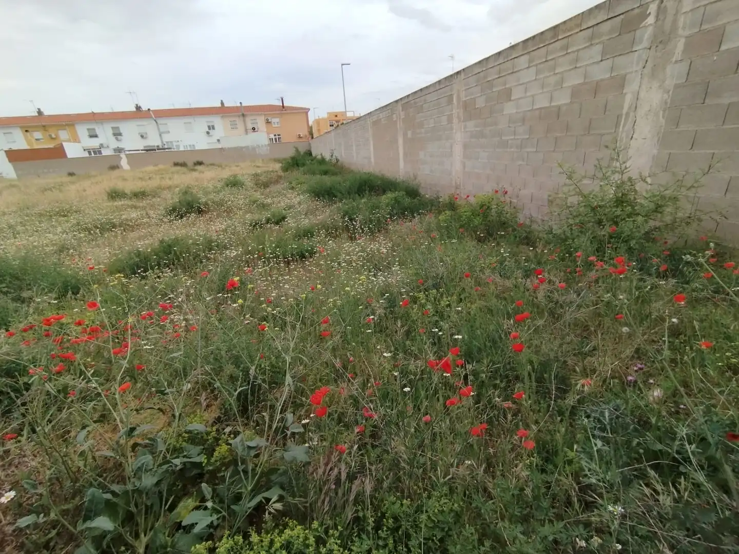 Terreny residencial en venda a Calle la Paz, imagen 15