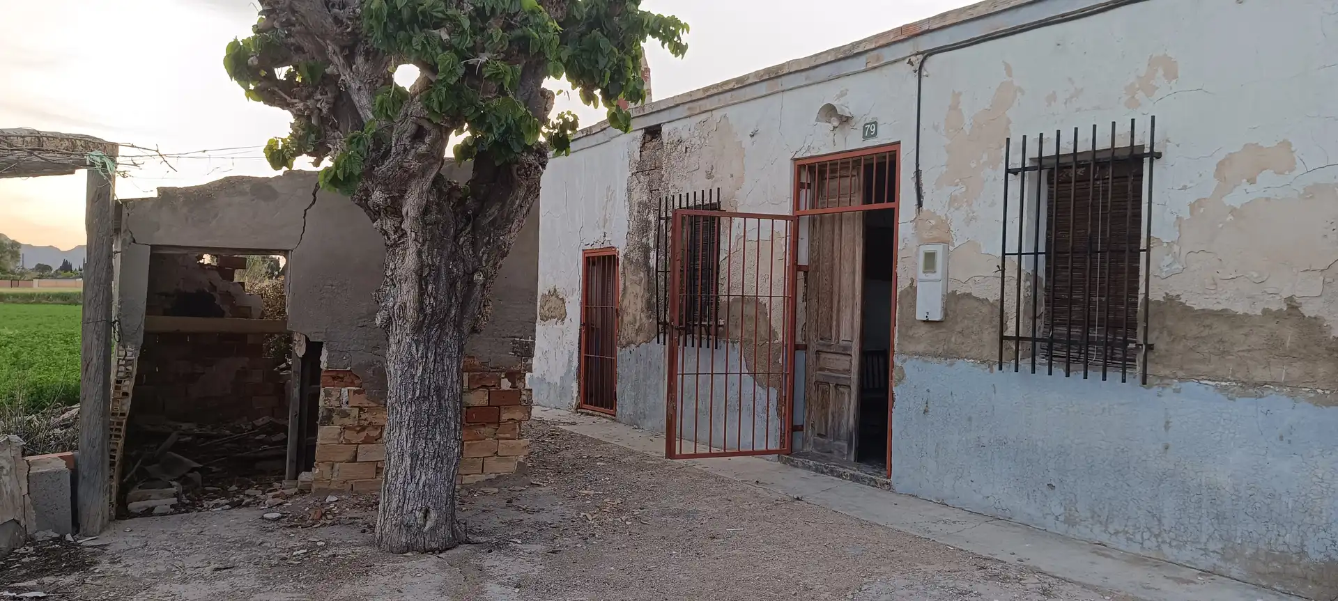 Vista exterior de Finca rústica en venda en Callosa de Segura amb Jardí privat