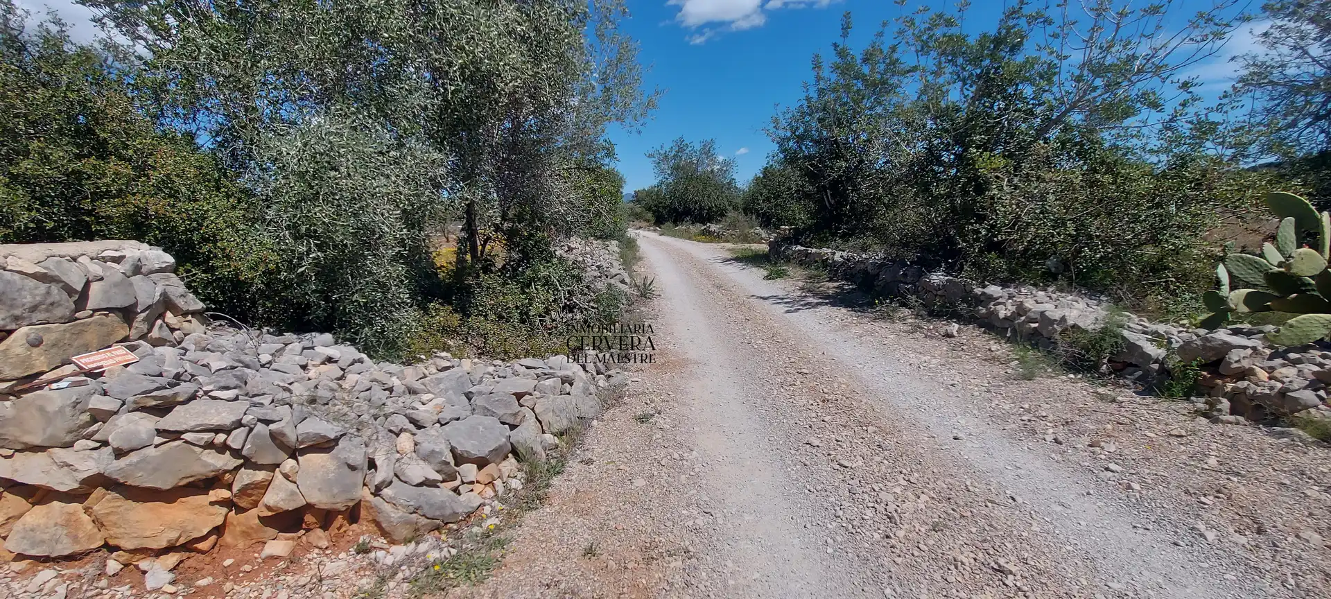 Terreno rustico in vendita a Cervera del Maestre, imagen 31