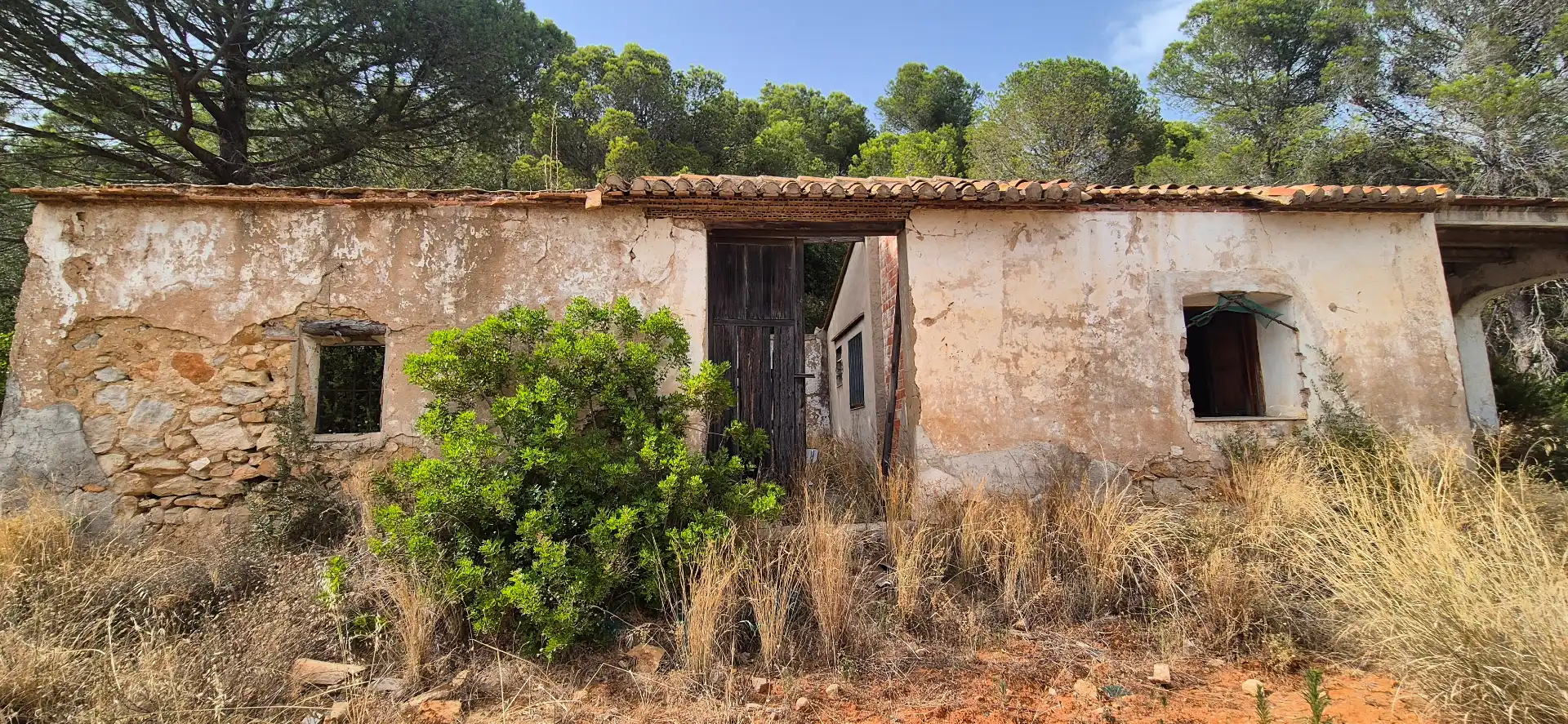 Vista exterior de Finca rústica en venta en El Real de Gandia con Jardín privado, Terraza y Trastero