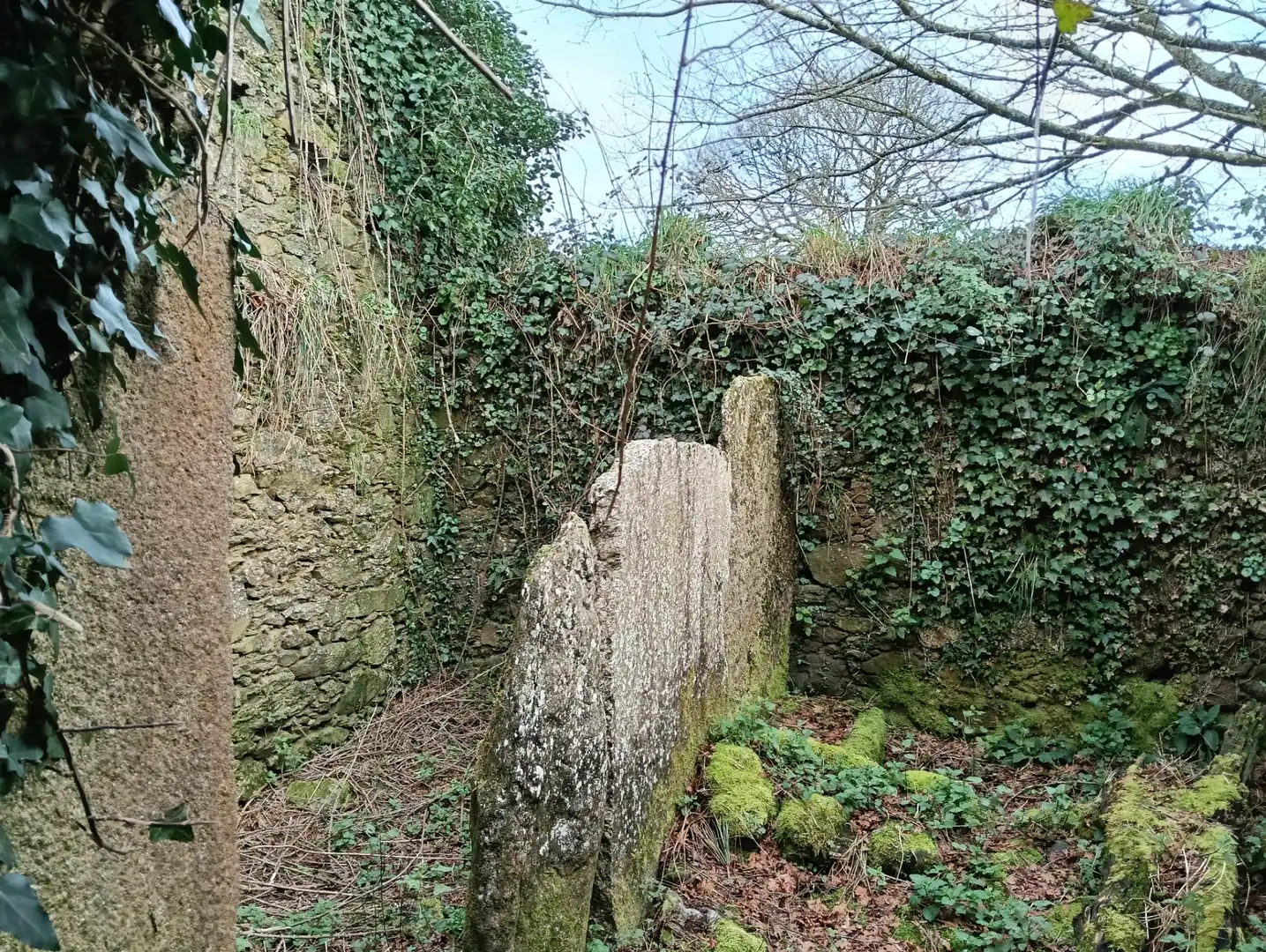 Adossat amb jardí en venda a Avenida Principal, imagen 14