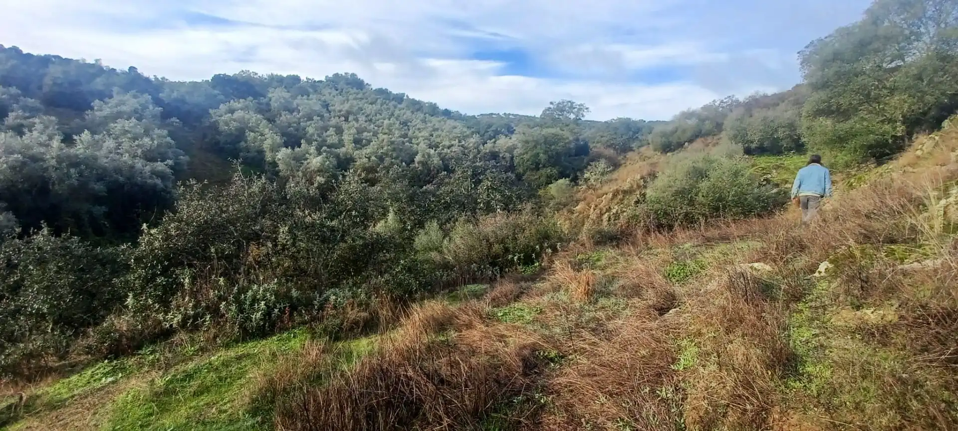 Terreny rústic en venda a Cazalla de la Sierra, imagen 36