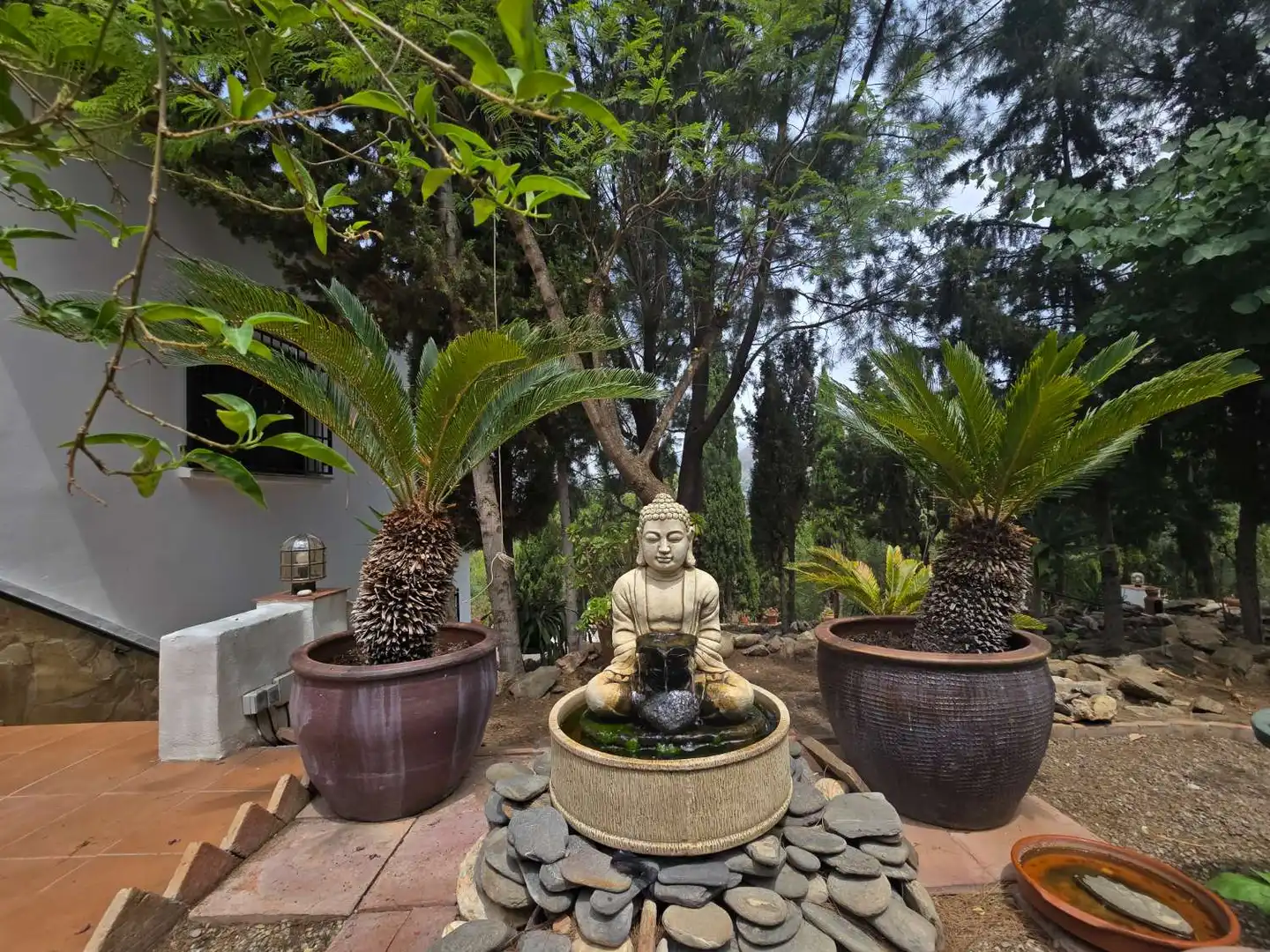 Jardín de Finca rústica en venta en Torrox con Aire acondicionado, Calefacción y Trastero