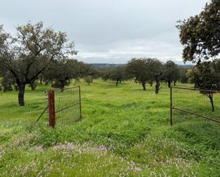 Land for sale in Alcaracejos