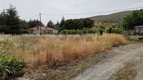 Terreno totalmente plano, ideal para construir casa unifamiliar, en Patones