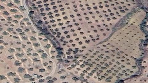 Se vende impresionante terreno de 39 ha, imatge 5