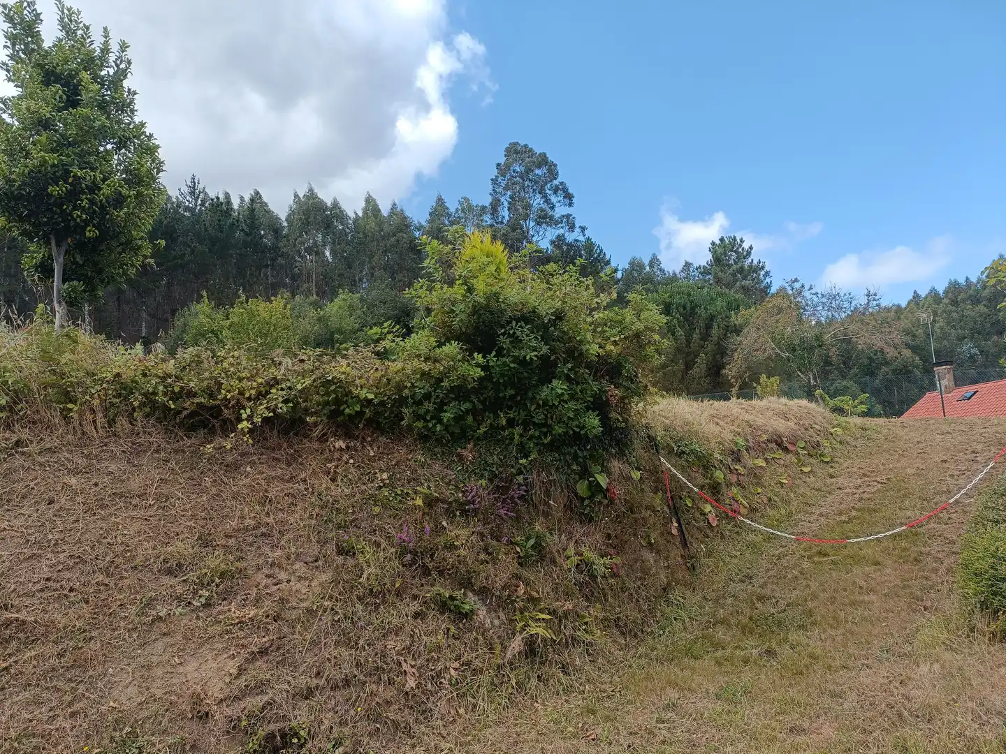 Wohnbaugrundstück zum Verkauf in Oza dos Ríos, imagen 14