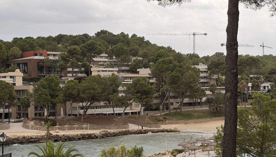 Photo 1 of Apartment to share in Cala Vinyes, Illes Balears