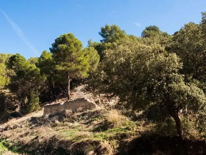 Casa o chalet en venta en Castril con Calefacción, Jardín privado y Parquet