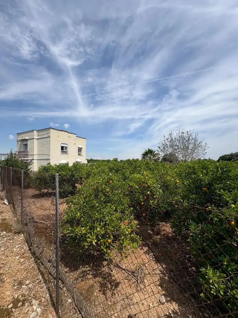 Country homes for sale in Alzira  with Private garden, Terrace and Swimming Pool