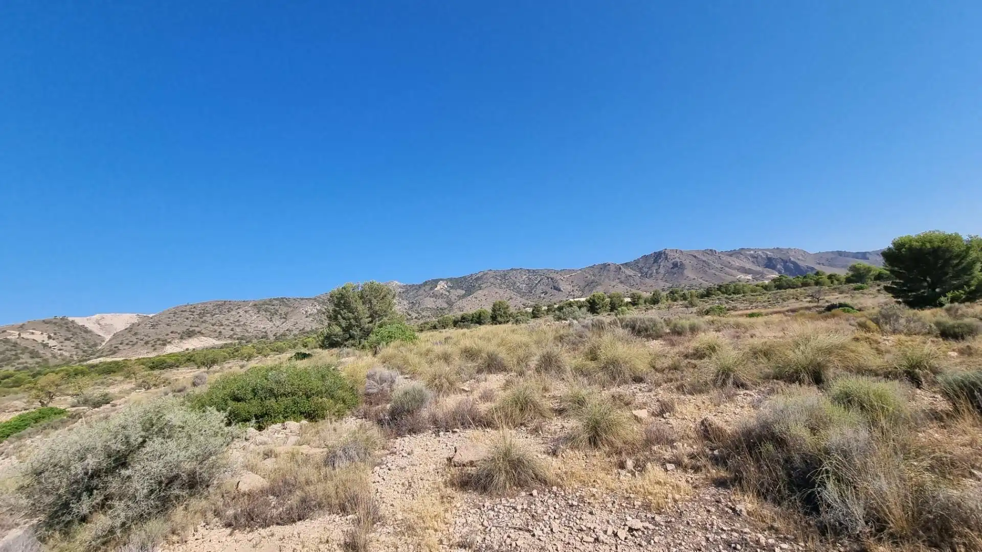 Lands and plots for sale in Abanilla, imagen 14
