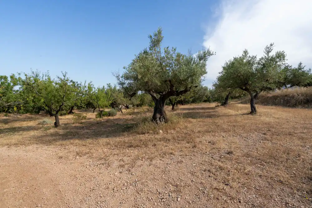 Finca rústica en venta en Aldover con Jardín privado, Terraza y Amueblado