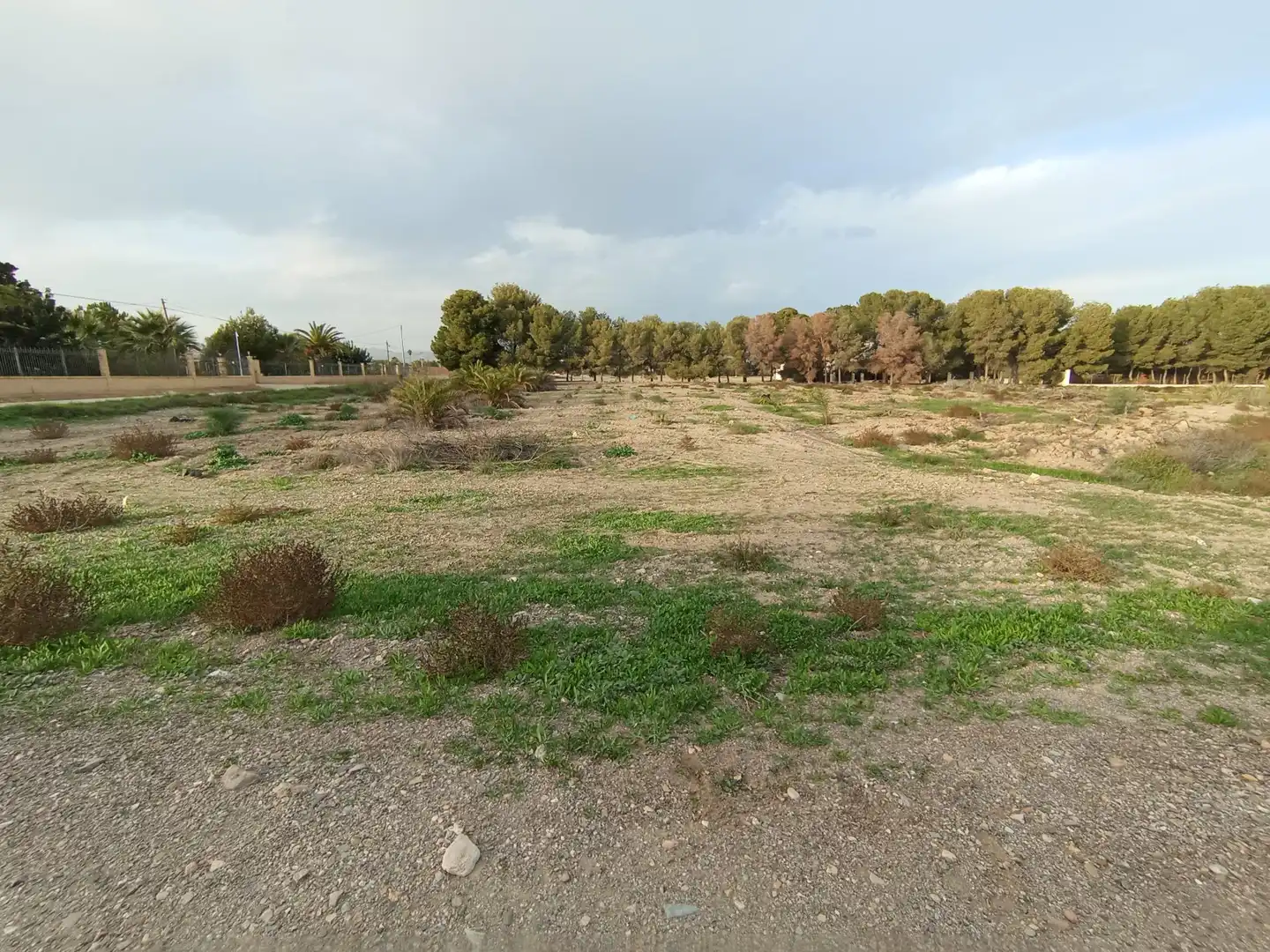 Terreny rústic en venda a Puerto Lumbreras, imagen 3