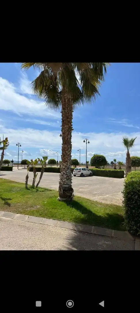 Parking of Apartments for sale in Torre-Pacheco  with Air Conditioner, Swimming Pool and Furnished