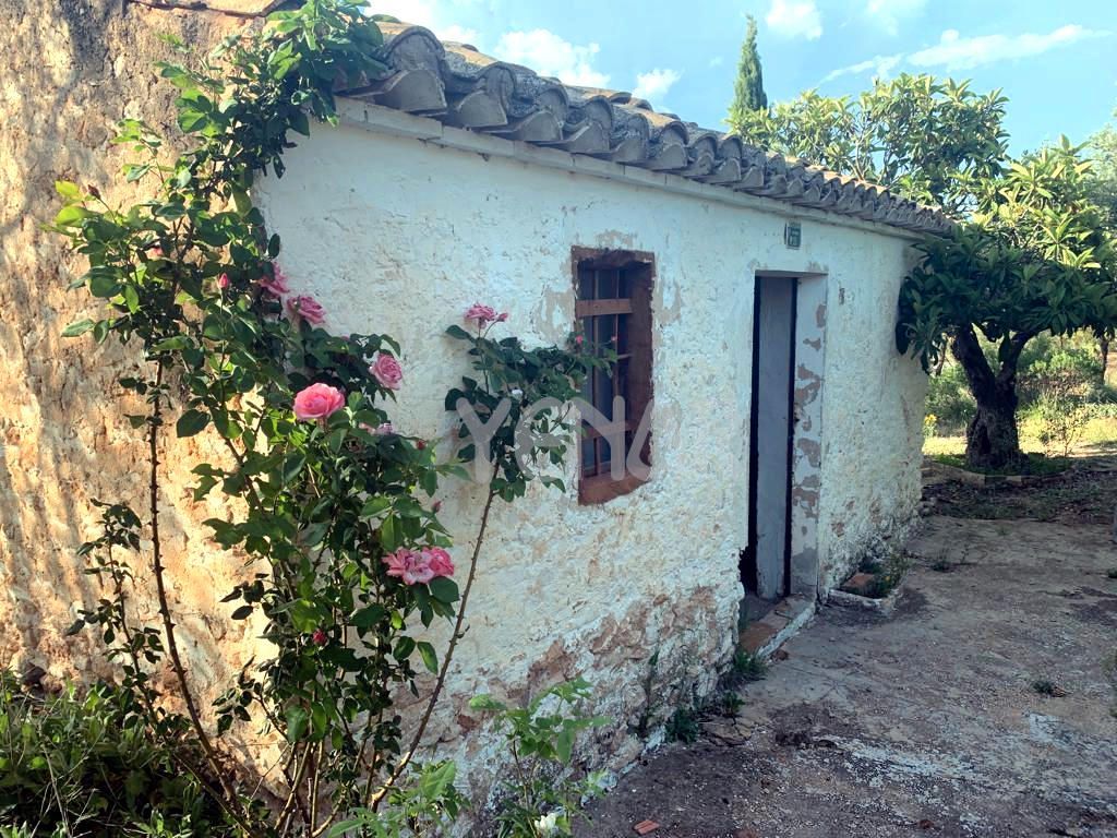 Exterior view of House or chalet for sale in Biar