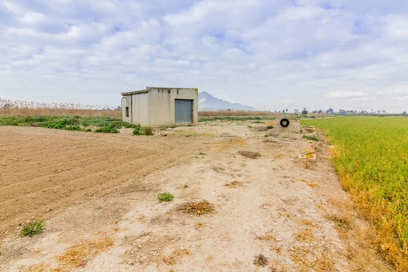 Terreno rústico en venta en Callosa de Segura, imagen 5