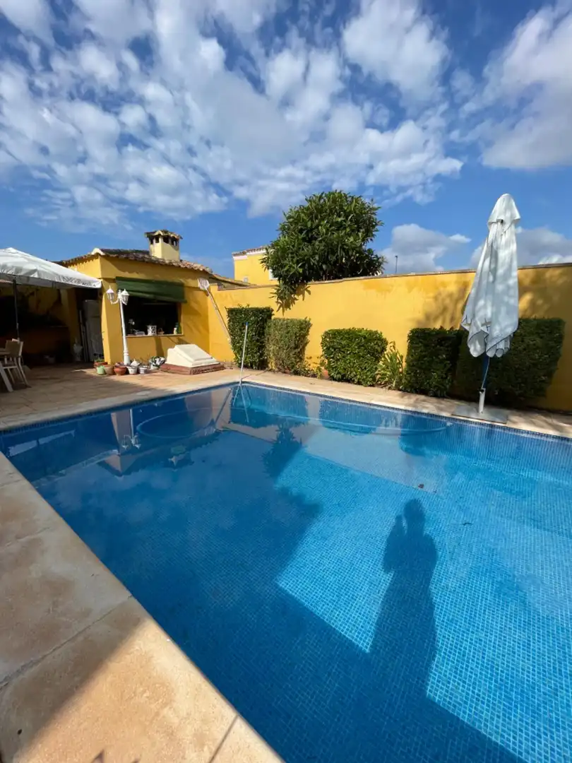 Piscina de Casa o chalet en venta en Llíria con Jardín privado, Terraza y Piscina