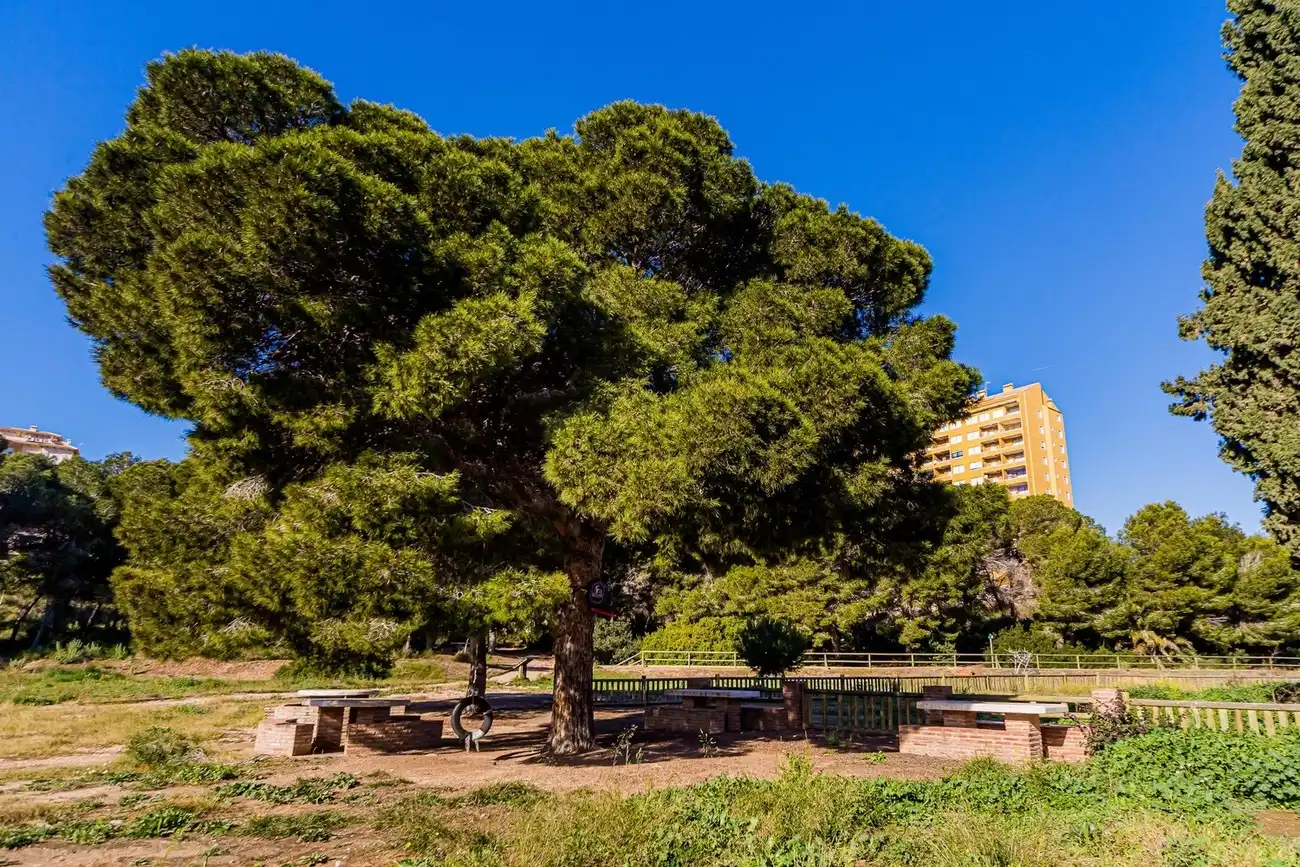 Vista exterior de Dúplex en venda en Orihuela