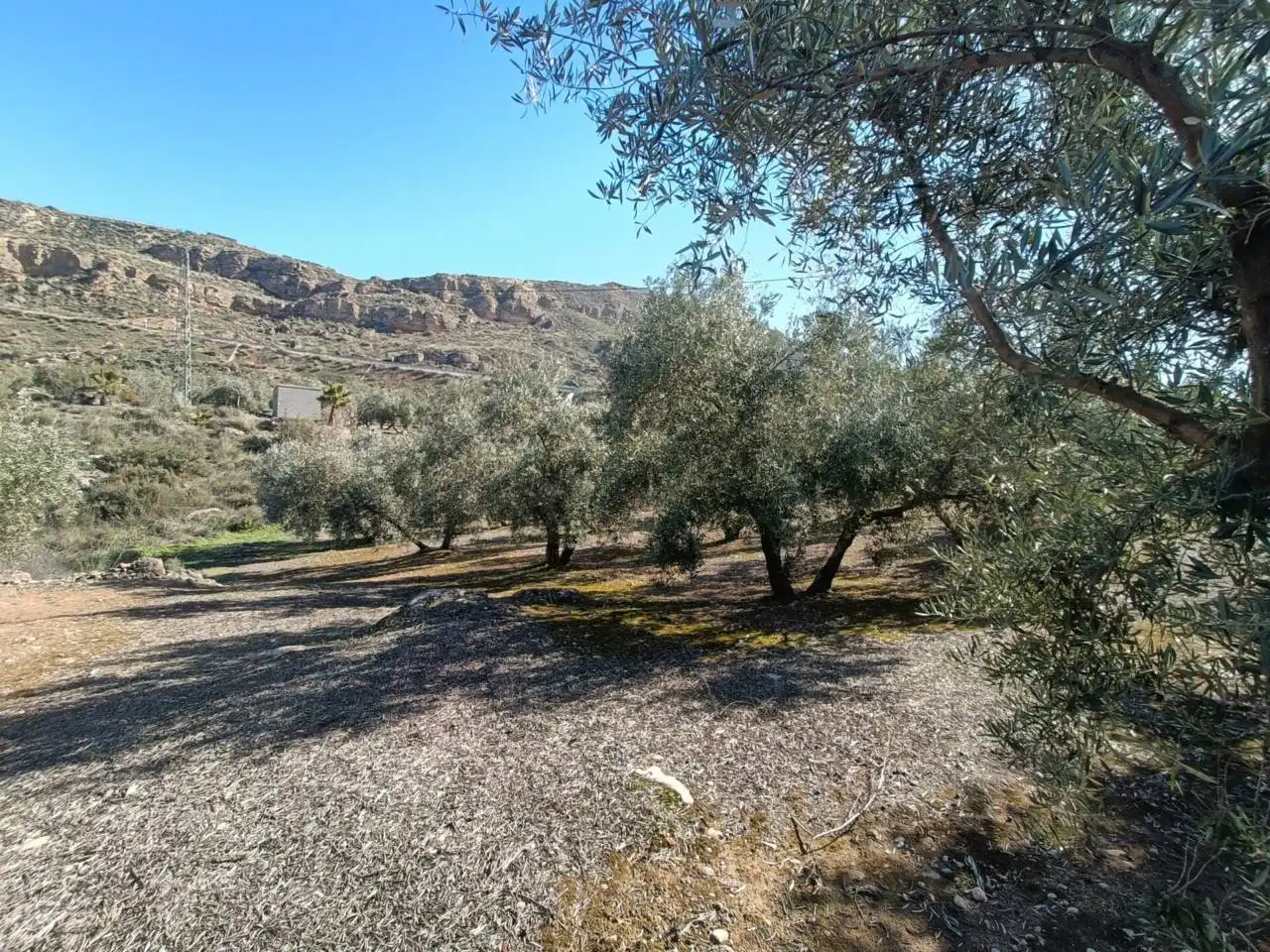 Terreni e lotti in vendita a Moraleda de Zafayona, imagen 23