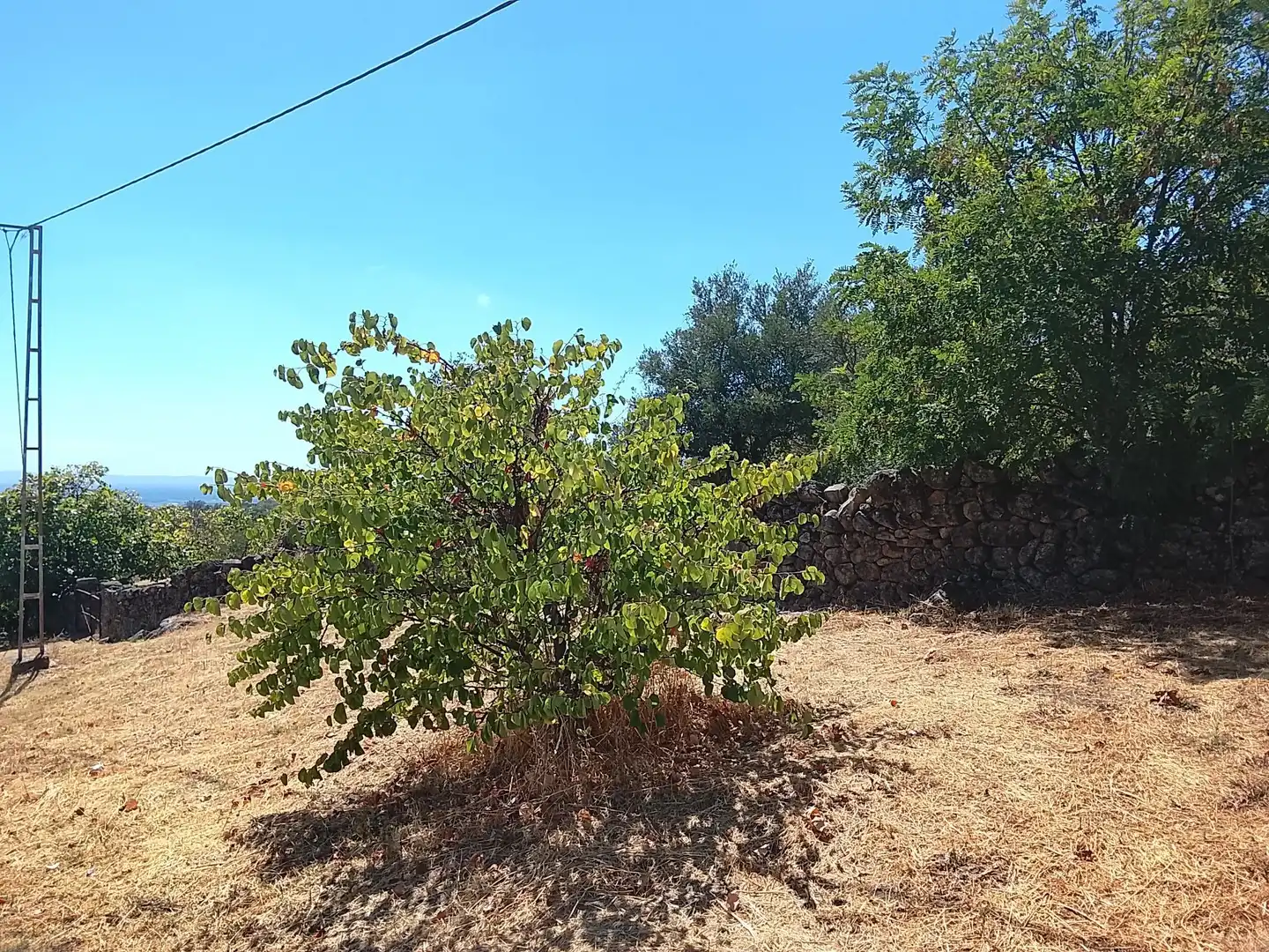 Terreni e lotti in vendita a Talaveruela de la Vera, imagen 9