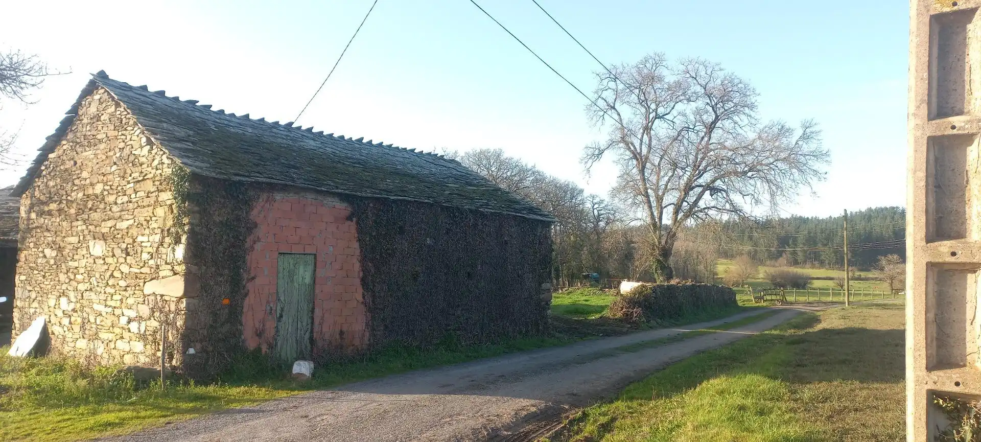 Vista exterior de Finca rústica en venda en Castro de Rei amb Jardí privat