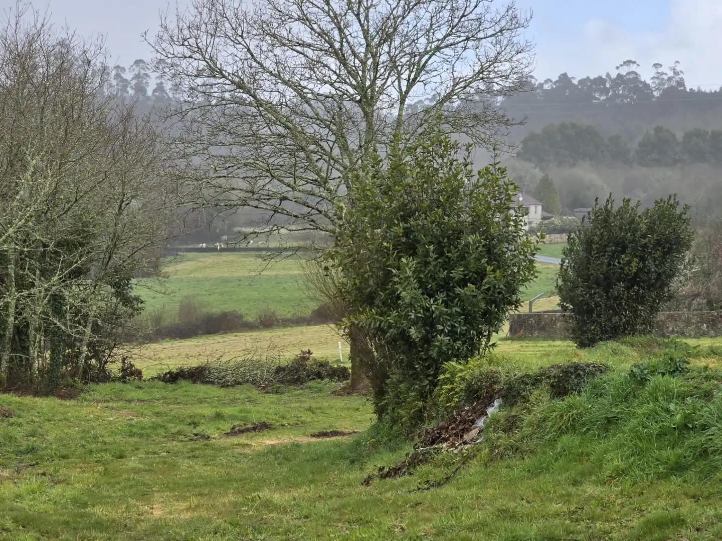 Finca rústica en venda en Cerceda amb Jardí privat