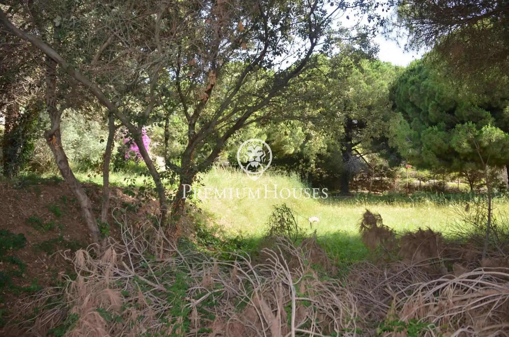 Residential land for sale in Cabrera de Mar, imagen 11