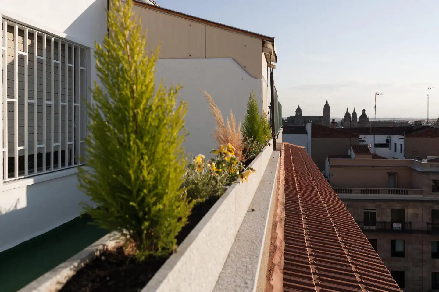Àtic amb ascensor en venda a Chinchibarra - Capuchinos, imagen 22