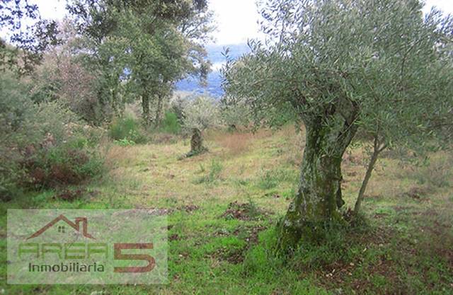 Terreno en Venta en Puerto de Santa Cruz
