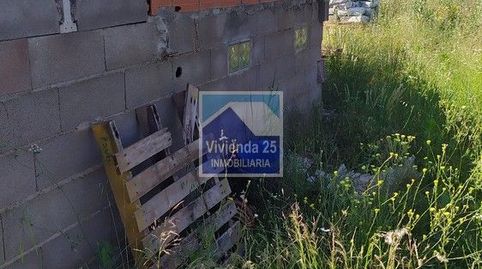 Immagine 3 dell'annuncio