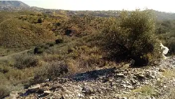Terrain rustique à vendre à Pr. Lomas del Flamenco, imagen 10
